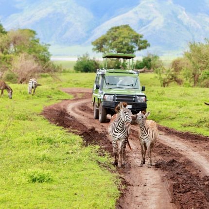 14 days Kilimanjaro and safari Tanzania
