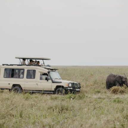 3 Days Tanzania Lodge Safari