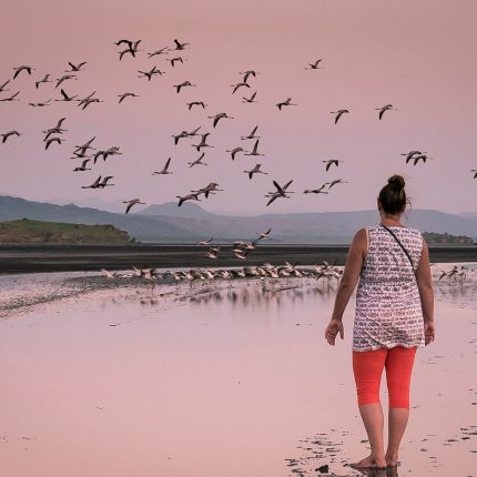 7 days budget safari lake natron