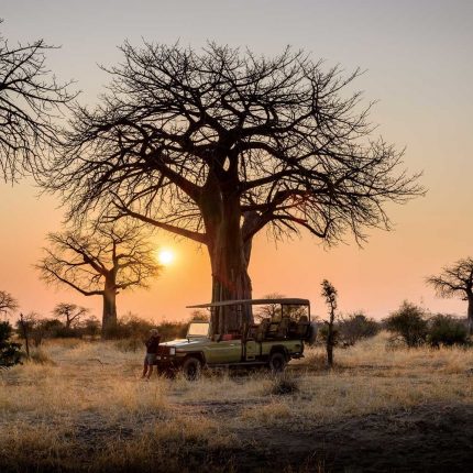 Southern Tanzania Safari
