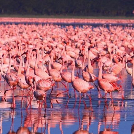 lake manyara national park