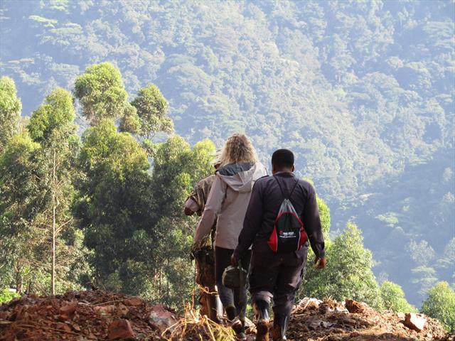 Rwenzori