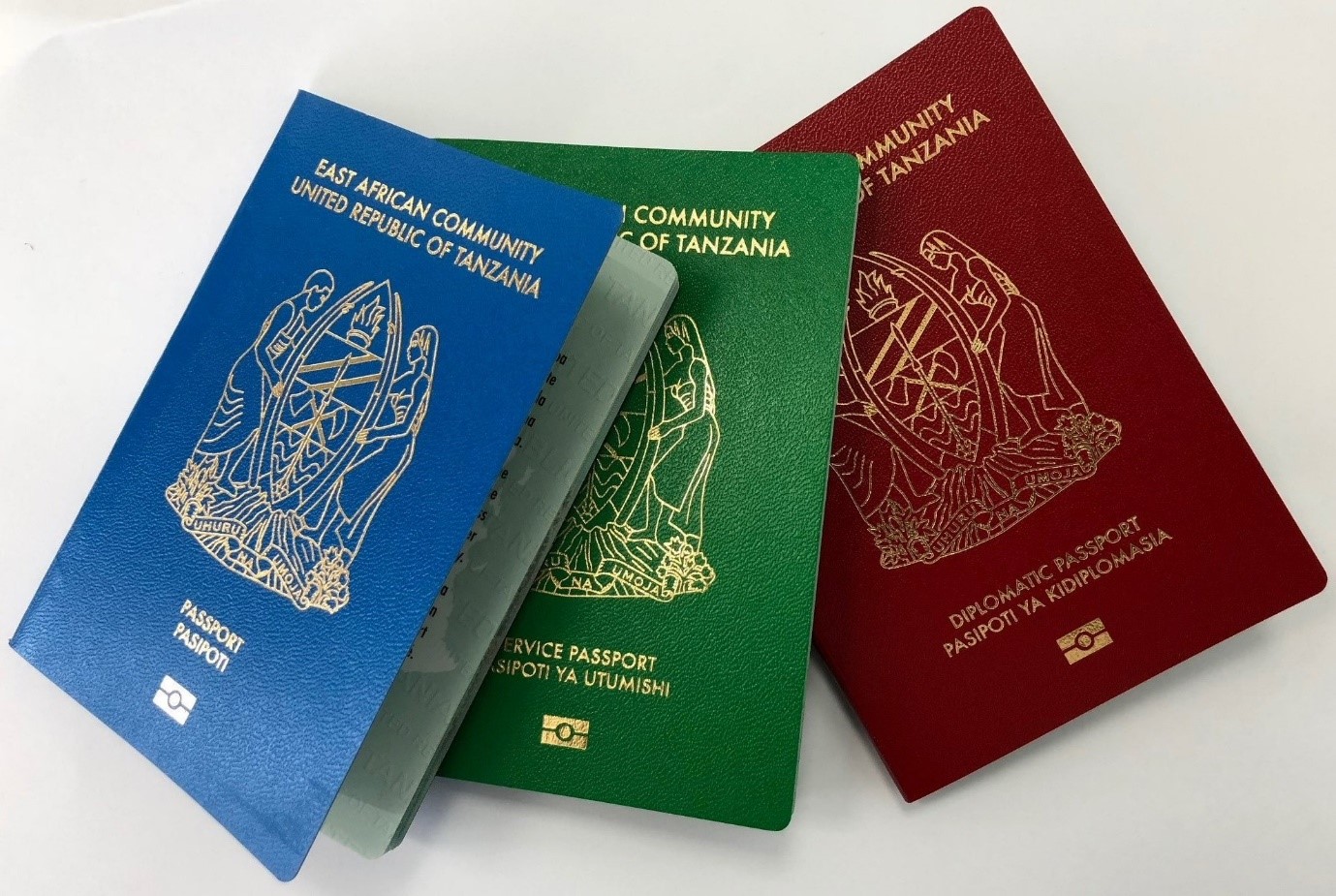 Tanzania passport VISA