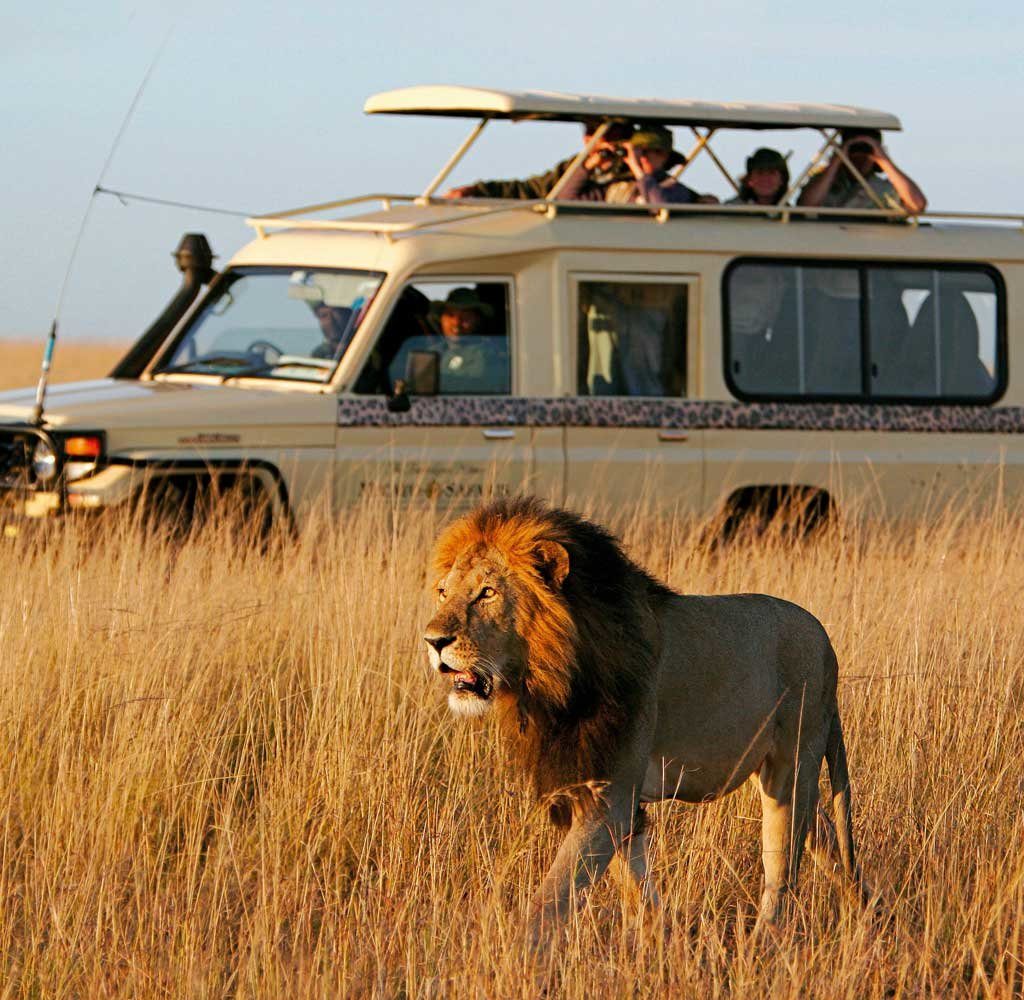african-safari budget african safari