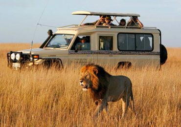 budget african safari