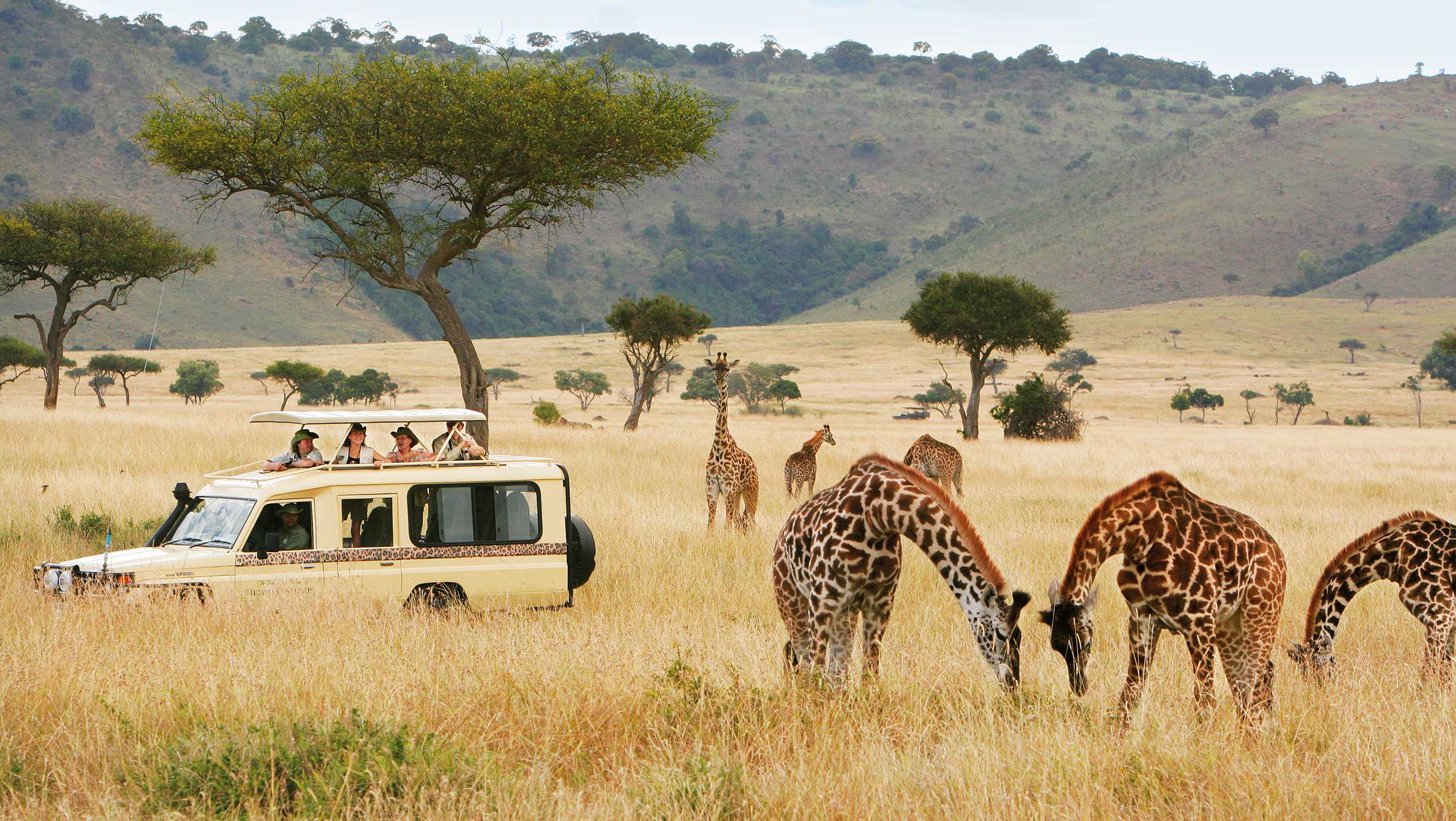 African safaris