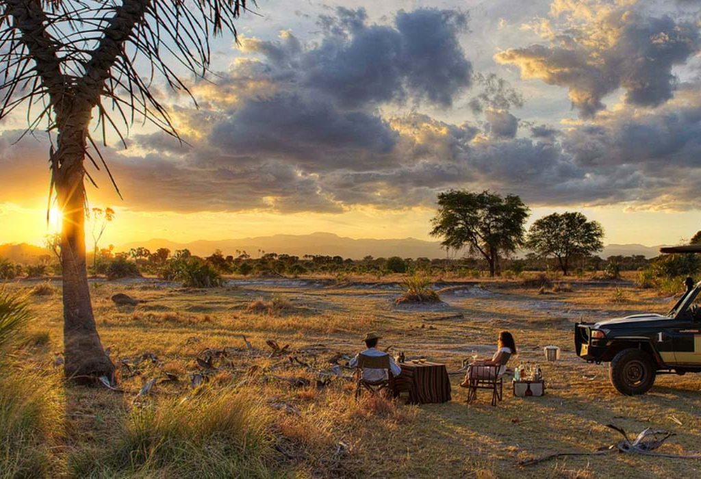 kenyasafaris Kenya Safari Tours