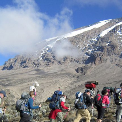 13 Days Kilimanjaro Climb and Tanzania Safari