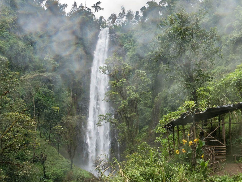 Materuni Waterfalls and coffee tour Materuni Waterfalls and coffee tour