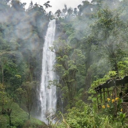 Materuni Waterfalls and coffee tour