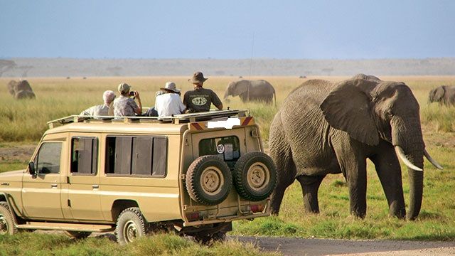 2 Days Tanzania Safari 2 Days Tanzania Safari