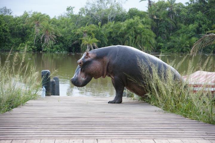 Southern Tanzania safari packages Southern Tanzania safari packages