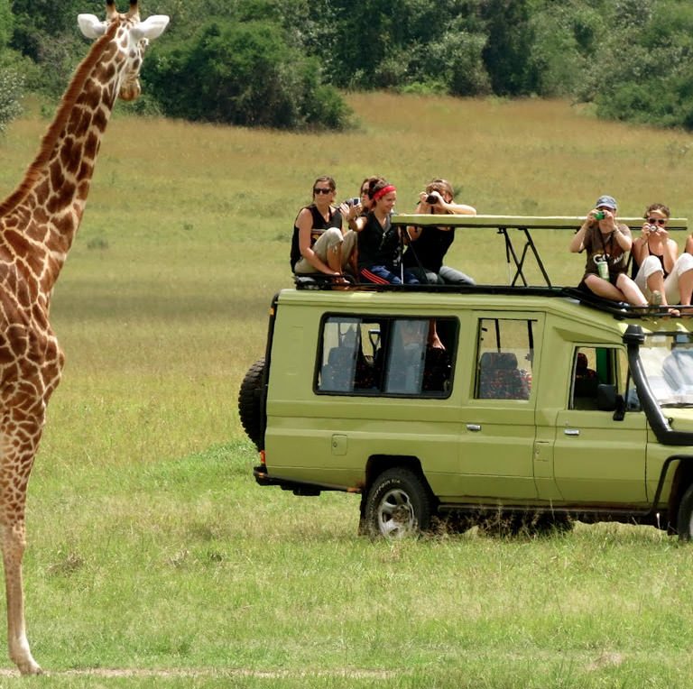 4 Days Budget Tanzania Safari