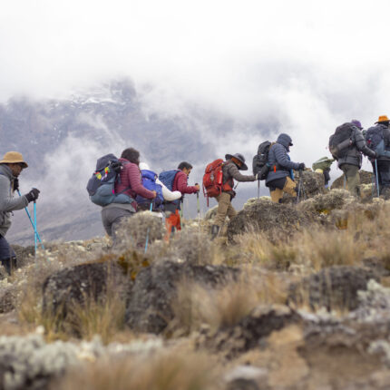 9 Days Northern Circuit Route Climbing Kilimanjaro