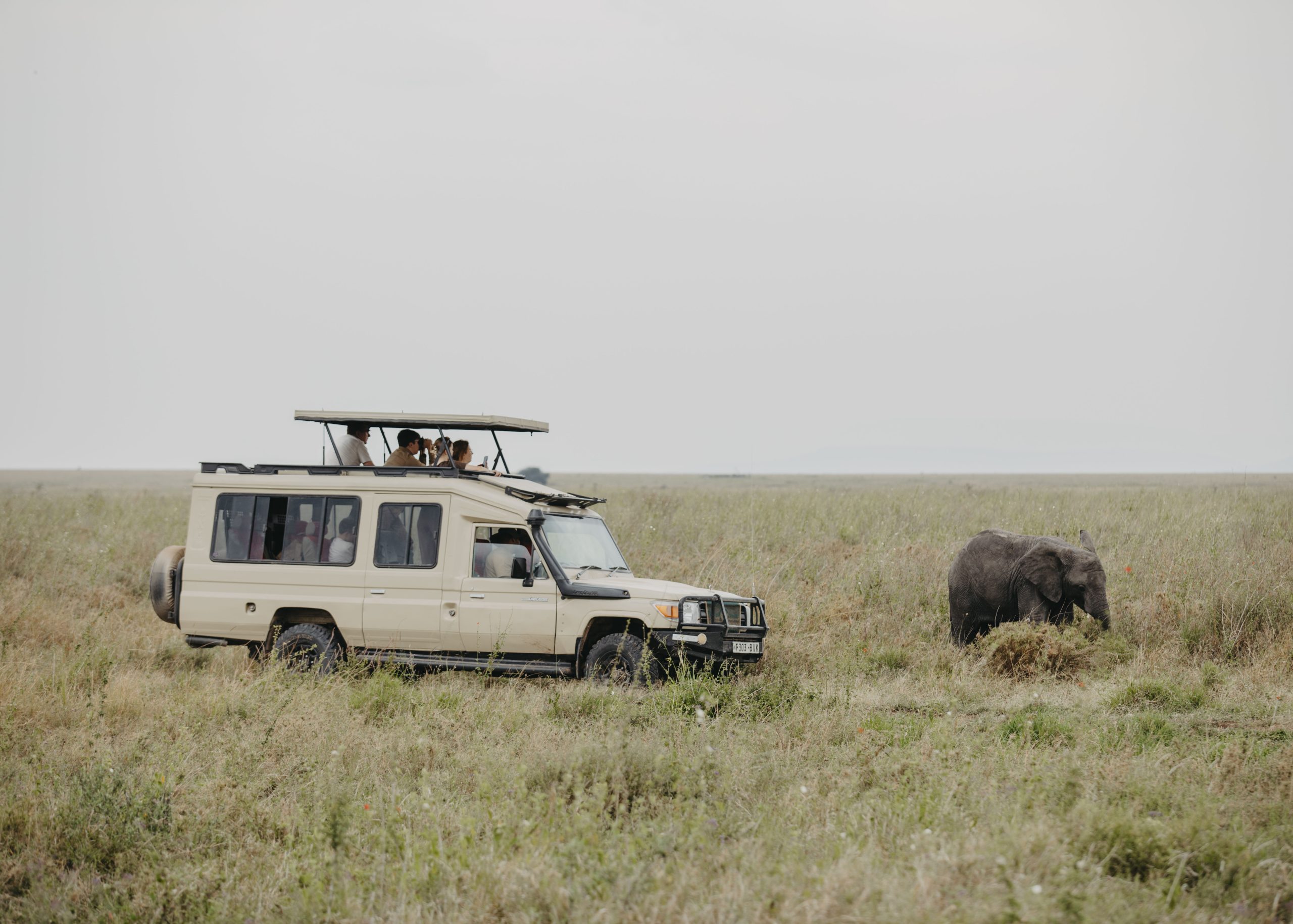 Kilimanjaro Climb and Serengeti Safari in One Trip