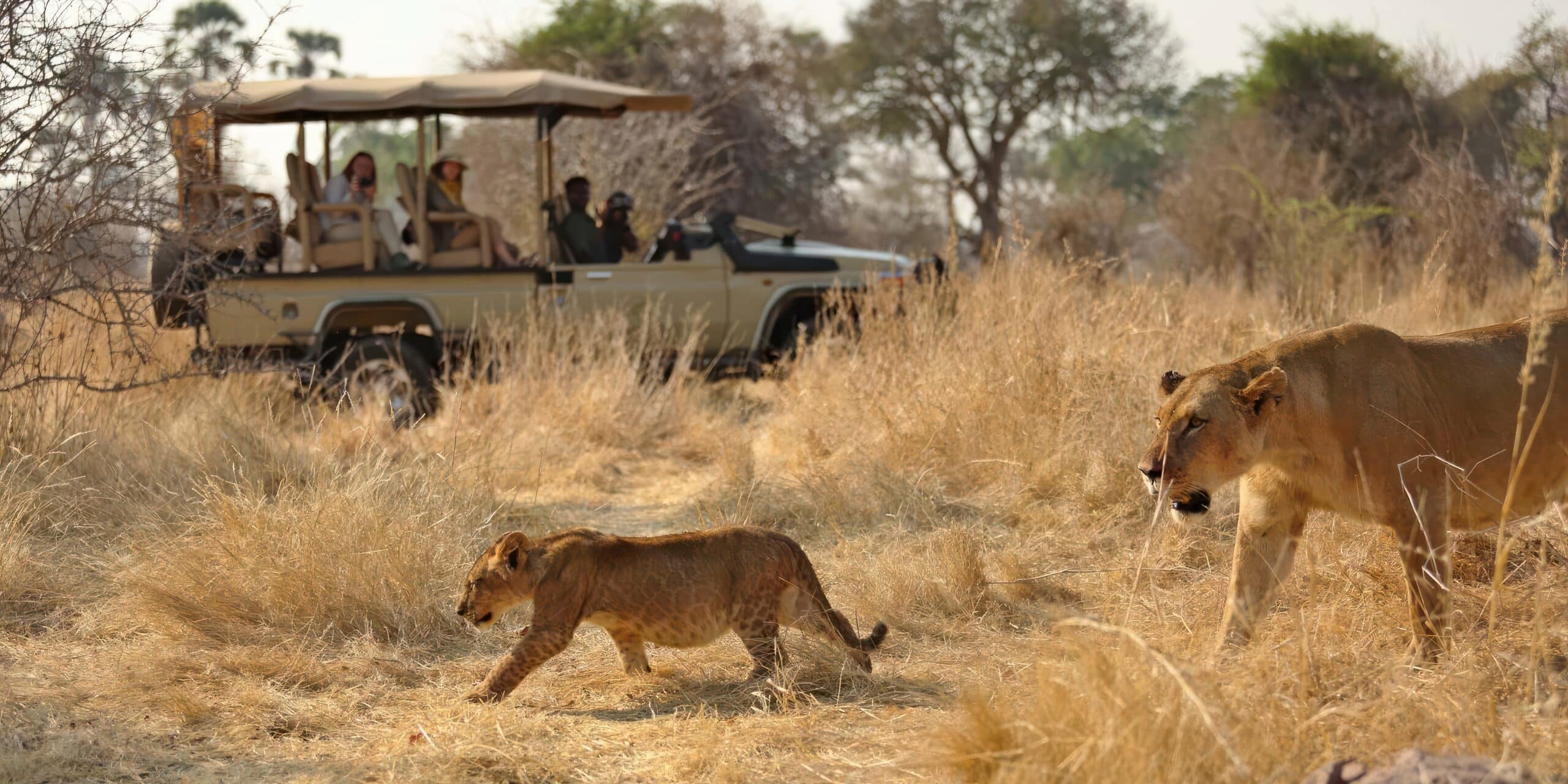 Why Tanzania Is Africa’s Hottest Safari Destination in 2026