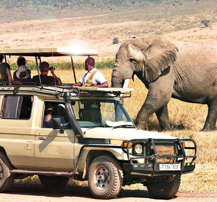 Kenya & Tanzania Safari